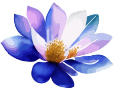 Timba Logo